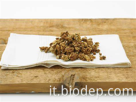 BIFIDOBACTERIUM LACTIS2